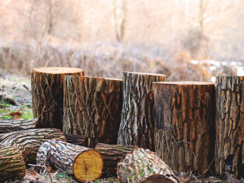 Les 5 avantages de la bûche de bois compressé